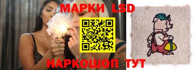 гидра Будённовск
