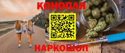 гидра Будённовск