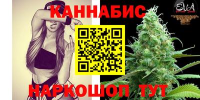 гидра Будённовск