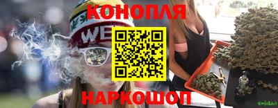 гидра Будённовск