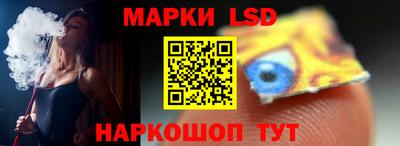 гидра Будённовск