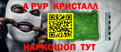 гидра Будённовск