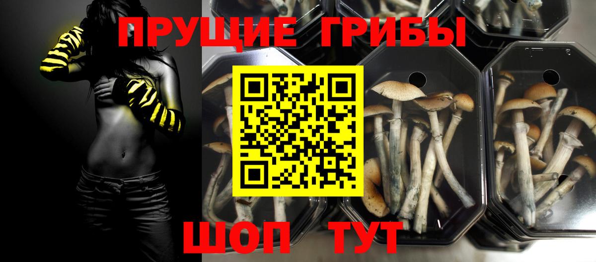 Псилоцибиновые грибы прущие грибы  Вход с VPN  Новотроицк 