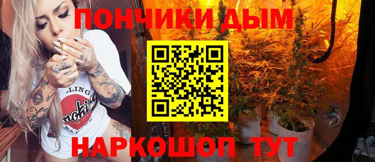 Бошки марихуана конопля  Бошки Шишки семена  Новотроицк  Каннабис планчик  Каннабис Amnesia  Вход с VPN 